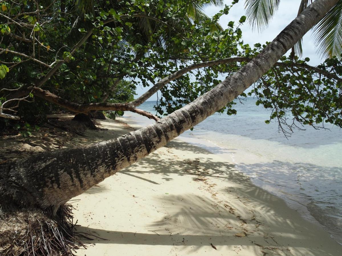 L Oralya - Blue Dream, Plage, Piscine, Restaurant Grand-Bourg (Marie Galante) Exterior photo