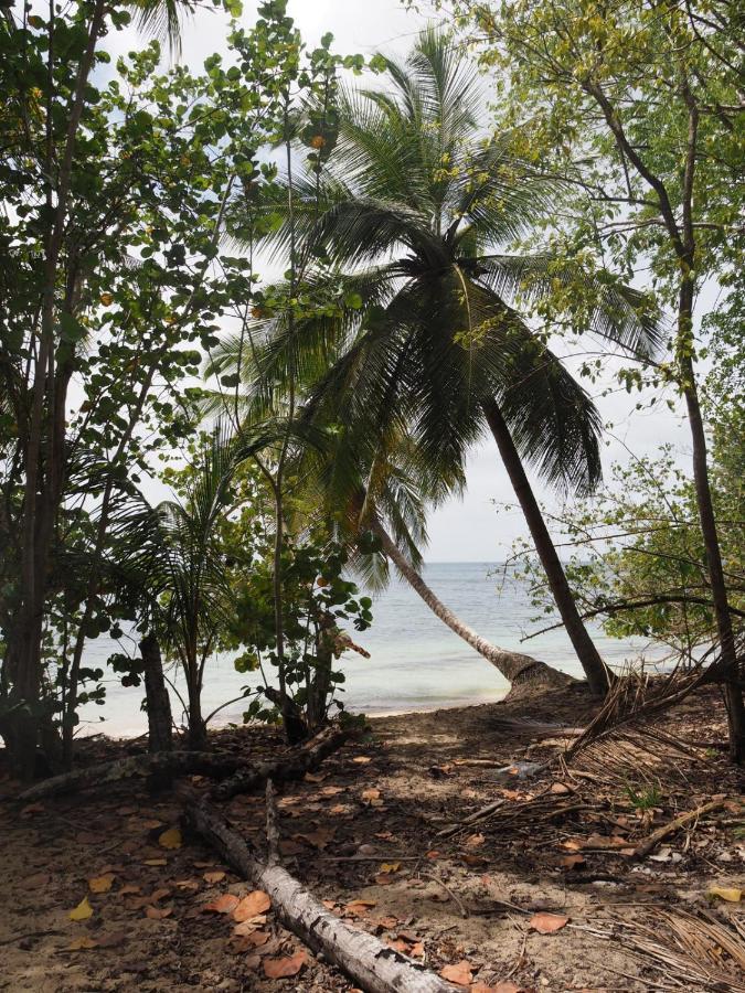 L Oralya - Blue Dream, Plage, Piscine, Restaurant Grand-Bourg (Marie Galante) Exterior photo