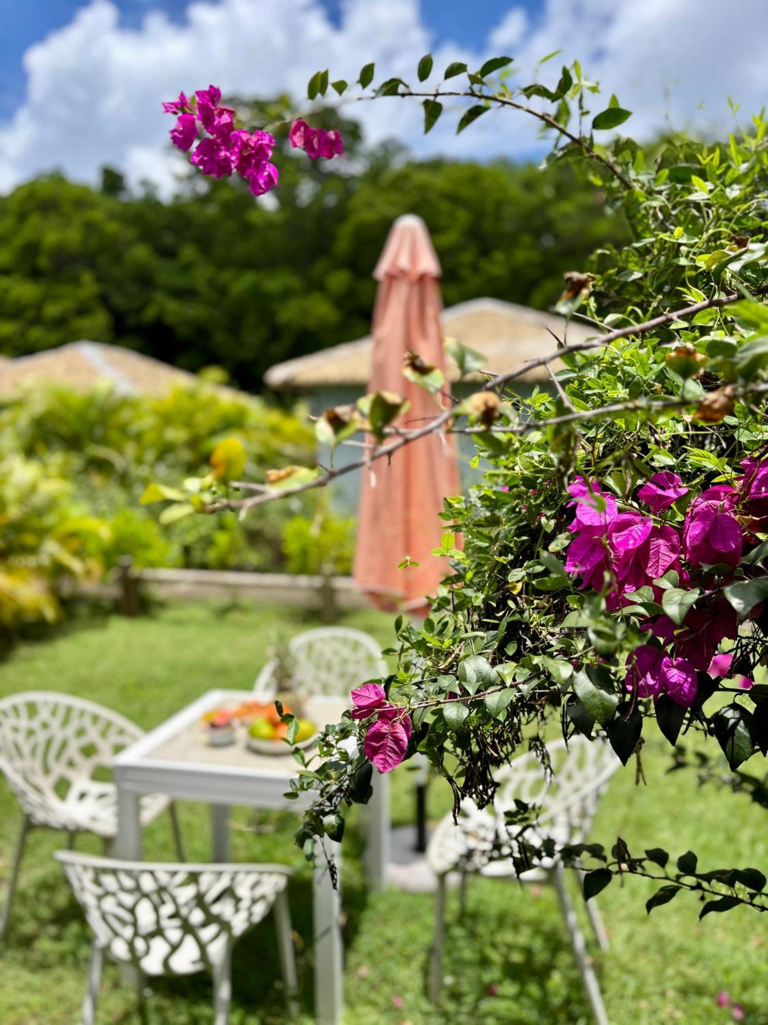 L Oralya - Blue Dream, Plage, Piscine, Restaurant Grand-Bourg (Marie Galante) Exterior photo